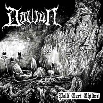 DAWÜN - Pellí Curi Chilwé CD