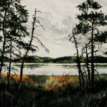 HEDENSKFRID - Isänmaan kasvot CD