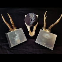 FOREST CRYPT  -  Devouring The Light CD