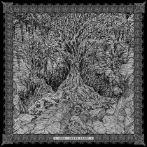 ALDER GLADE / ARNA - Split - Pro - Tape