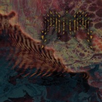 FANISK – Insularum 12" DLP (Gold Vinyl)