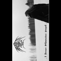FROSSET SKOG – В Песнях Февральских Ветров Tape