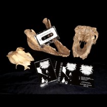 REMAINS OF ASH - Demo 2 TAPE