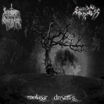 SOMBRE CROISADE / SUICIDAL MADNESS -  Molasar dreams CD