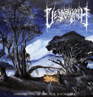 VESTHANGARTH - Ominous Path of Spectral Knowledge CD