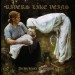 RIVERS LIKE VEINS - Architektura Przemijania CD
