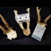 TODESZONE – Morbid Assaults TAPE
