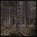 KALMANKANTAJA - Metsäkalmisto DigiPak CD