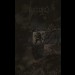 ABSURD - Live 2008
