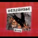 STANDVAST - Allenig DigiPak CD