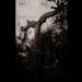 BLOT - Folk Tape