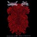 CROWN OV HORNS / SOUL DEVOUR - Glorification ov War, Death & Destruction Split Tape