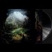DRUADAN FOREST - The Lost Dimension LP