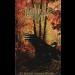HAMMERVOLK – Of Profound Ancestral Wisdom... Tape