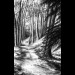  HARAG – Éber Álmok Útjain Tape