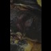 MELT - Fatal Suffusion of Tissues TAPE