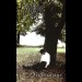 MOR – У Cпознаји Tape 