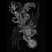 MORGENSTERN – Faust’s Choice. Pt.1 A5 DigiPPak CD
