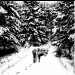 GRIMLAIR - Demo 2005 CD