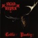 VLAD TEPES - Celtic poetry CD