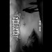 TORSGARD - 1996 - 2010 Tape